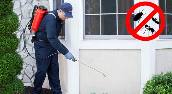 Bağlar Tahtakurusu İlaçlama böcek ilaçlama ve haşere kontrolü — ilaclama-tr.com